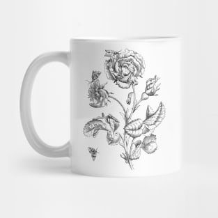 Rose Flower & Insects Antique Illustration Mug